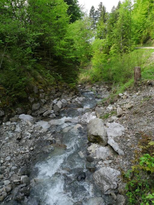 Forest View Apartment In Leissigen By Interlaken With No Kitchen Exteriör bild