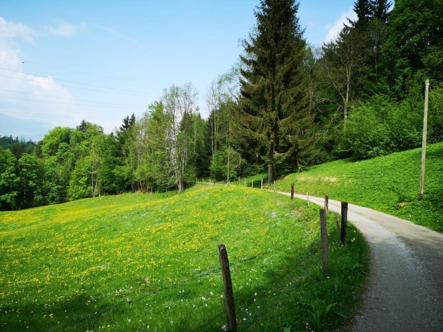 Forest View Apartment In Leissigen By Interlaken With No Kitchen Exteriör bild